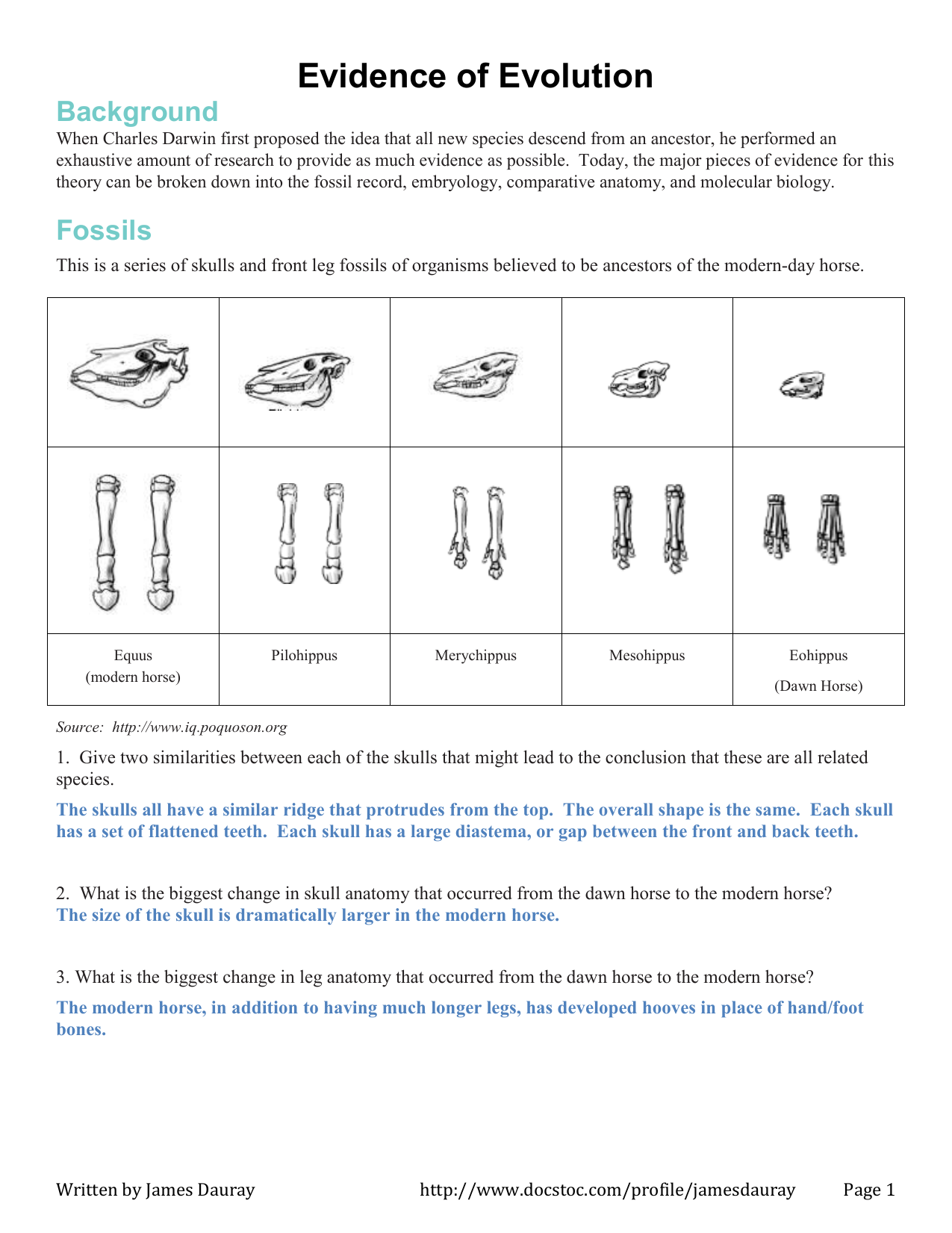 Evidence For Evolution Quiz
