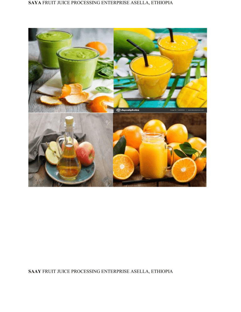 fruit juice business plan in ethiopia pdf