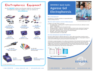 Electrophoresis Guide