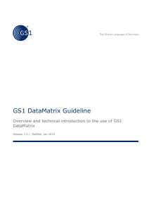 GS1 DataMatrix Guideline