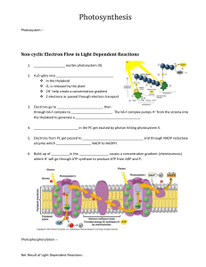 4-1and4-2photosynthesisworksheet