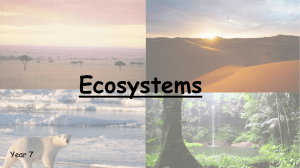 Ecosystem Ppt