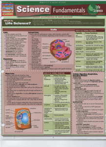 Science Fundamentals 1 - Life Science - quick study Reference