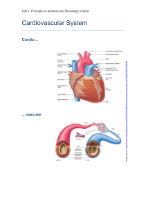 Cardiovascular system  Student workbook-1