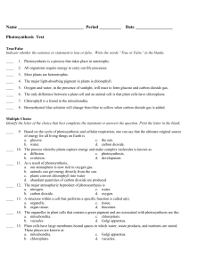 Photosynthesis Test