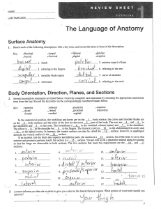 The Language of Anatomy Answer Key