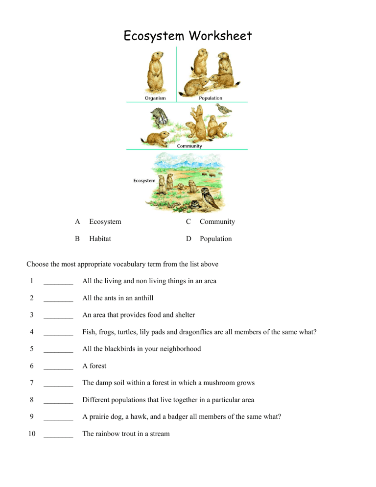 Types Of Ecosystems Worksheets