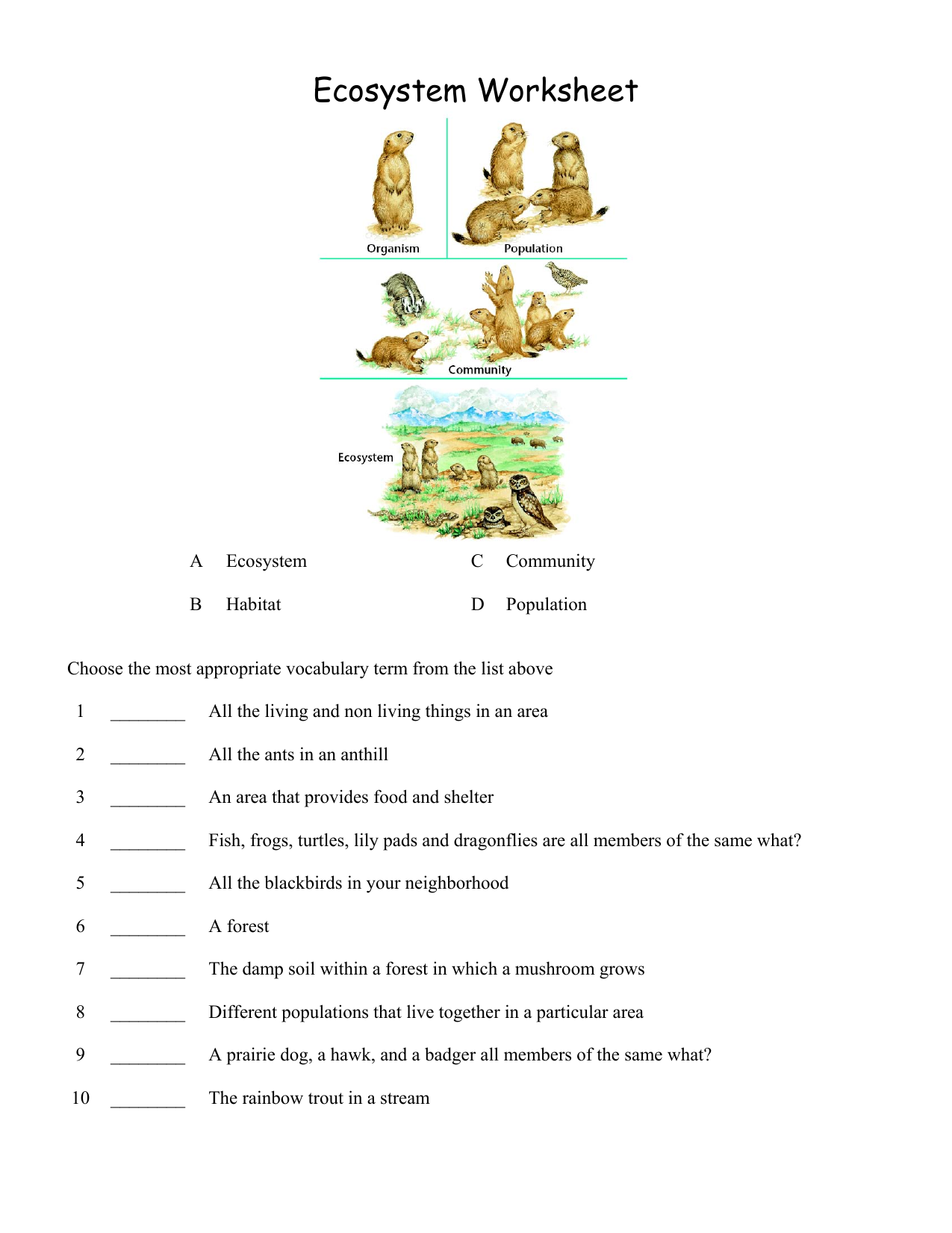 middle school ecology worksheet