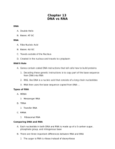 DNA-vs-RNA-Notes-Biology