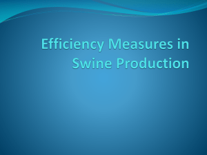 Efficiency Measures in Swine Production