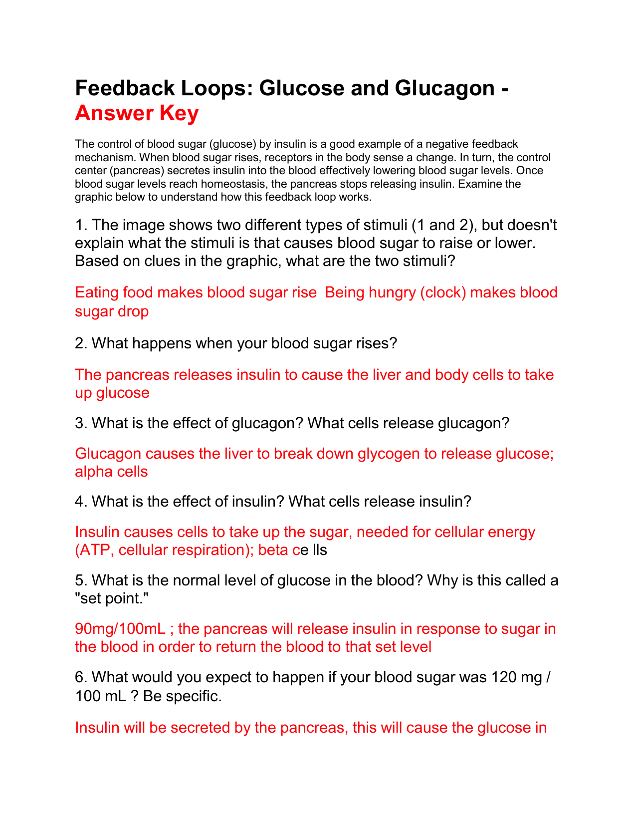 Feedback Loops Answer Key