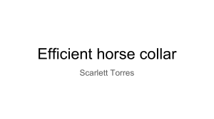 Efficient horse collar slideshow