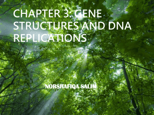 CHAPTER 3 DNA REPLICATION (DIS2019)