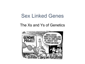 Sex Linked Genes - student Copy