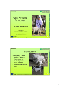 Goat Training presentation 2008