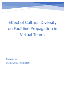 effect of cultural diversity on faulitline propagation