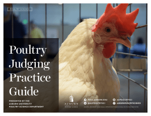 PoultryJudgingPracticeGuide Final