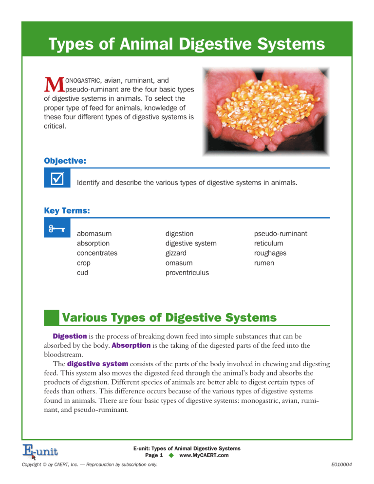 types-of-digestive-systems-animals