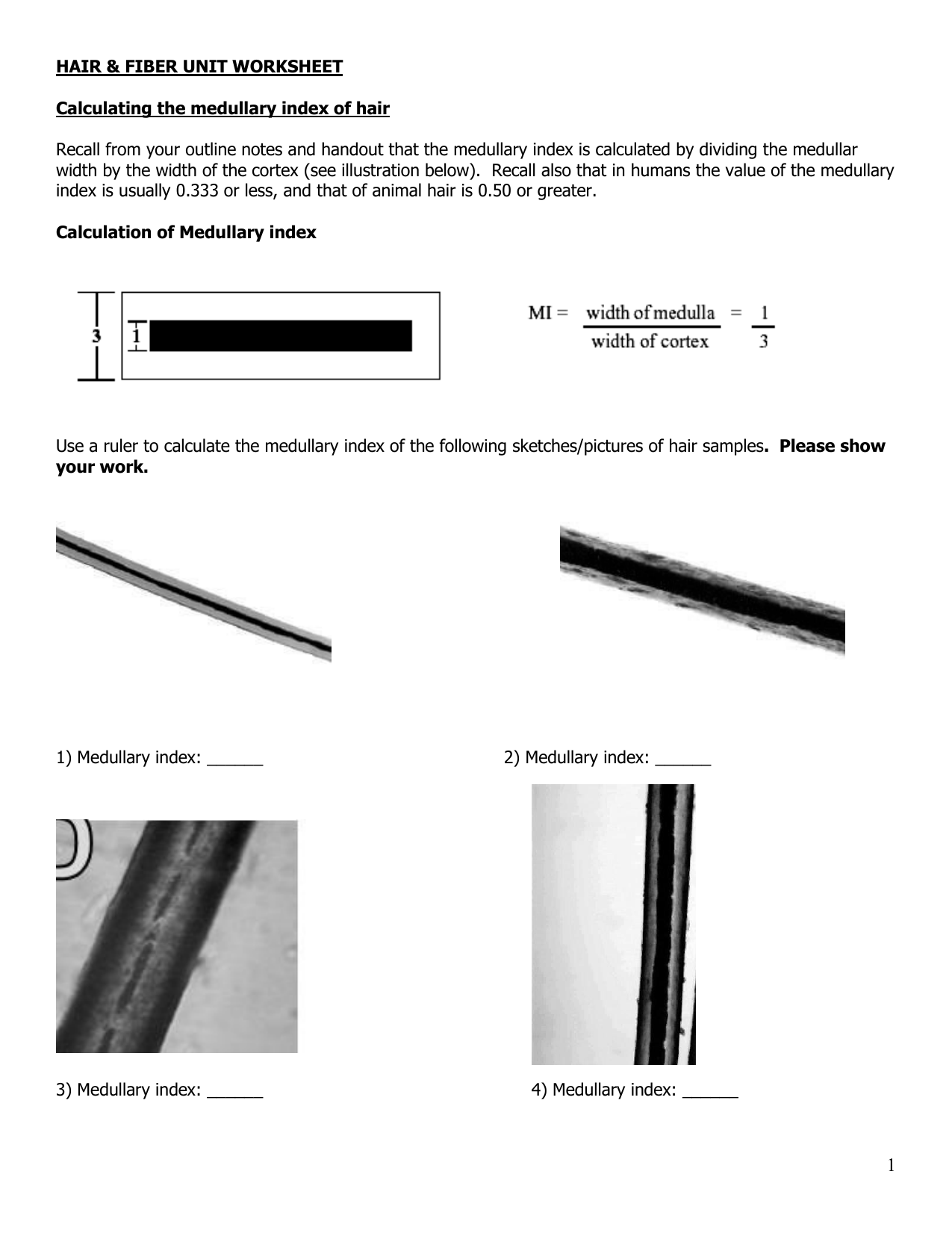 Calculating The Medullary Index Of Hair