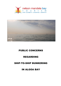 Concern Report on STS Bunkering Penguins in Algoa Bay - NMBT 2019