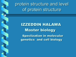Protein Structure presentation 2020