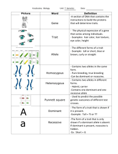 Vocabulary  Biology Unit  7  Genetics Date  Picture Word Definition