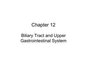Chapter 012 Week 10 UGI and  Biliary Lab Review (002)(1)