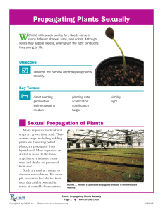 Propagating Plants Sexually