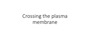 Crossing the plasma membrane