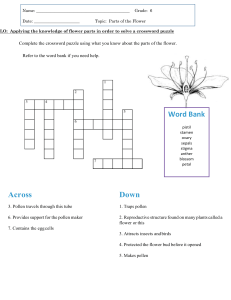 Parts of the Flower - Crossword Puzzle