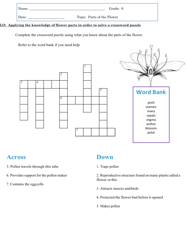 Parts Of The Flower Crossword Puzzle