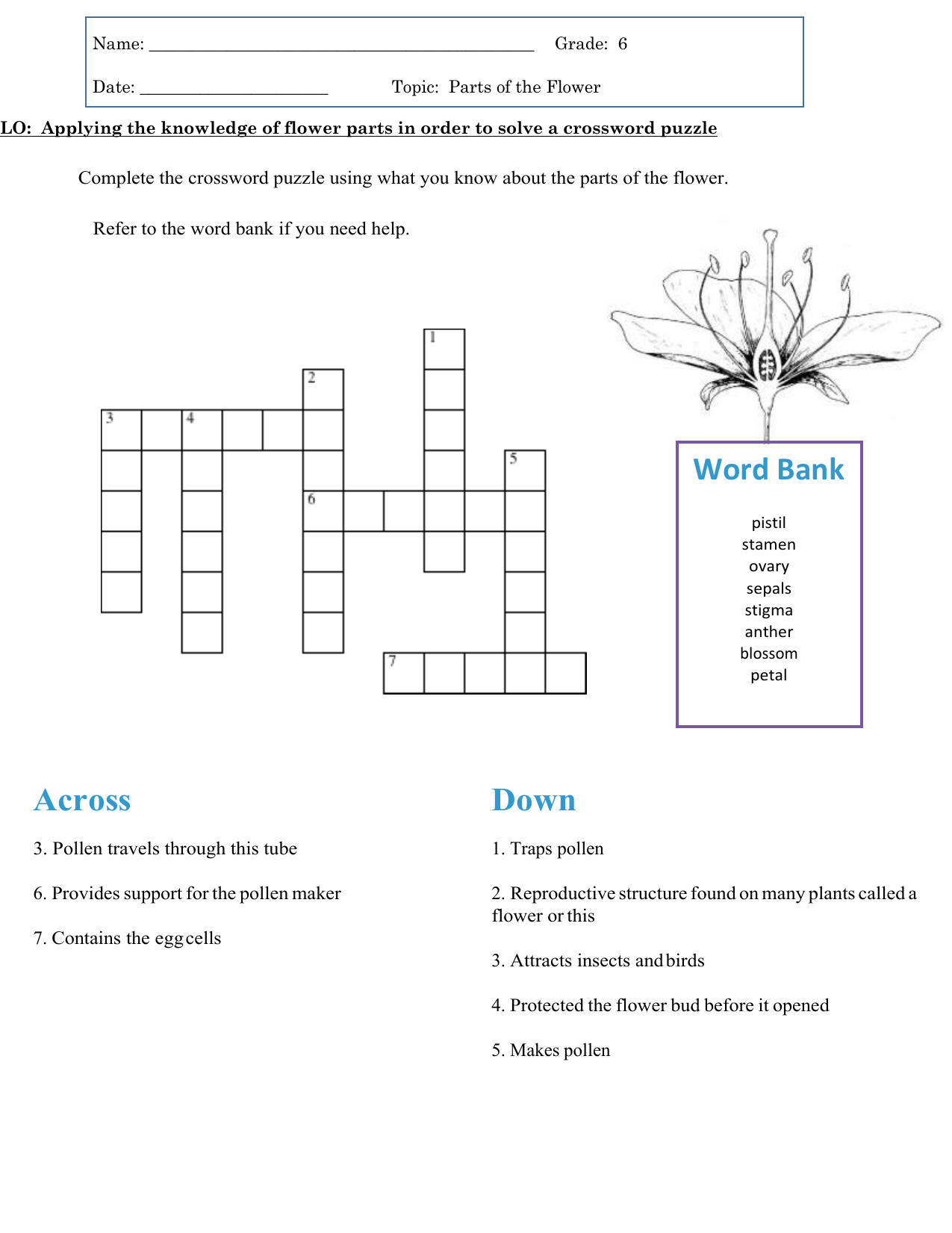Parts Of The Flower Crossword Puzzle