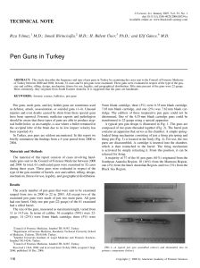 Pen Guns in Turkey