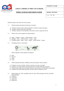 Revision Paper - Grade 5 (Food Chain)