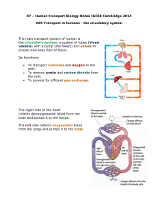 07 Human Transport Biology Notes IGCSE 2014-1-1