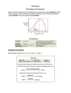 03 Enzymes Biology Notes IGCSE 2014-1-1