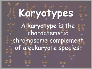 3-Karyotypes