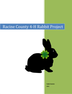 Rabbit-Project-Book-2016
