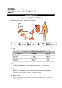 STRUKTUR DAN FUNGSI JARINGAN TUMBUHAN DAN FOTOSINTESIS