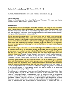 Alternate Bearing in Avocado: Causes & Management