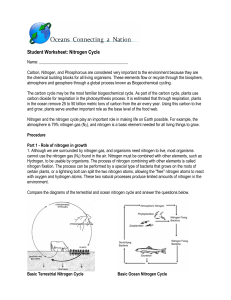 nitrogen cycle worksheet