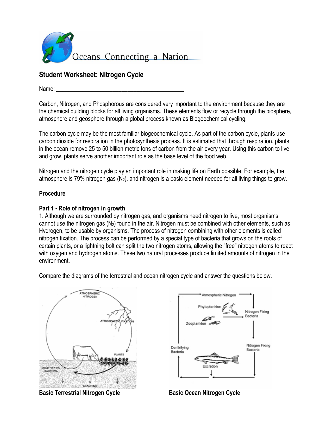 nitrogen cycle worksheet Regarding Nitrogen Cycle Worksheet Answers