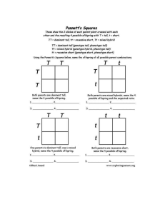 genetics activity