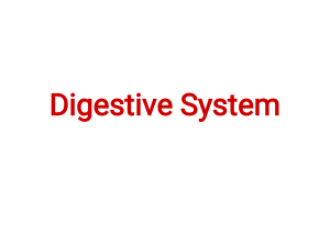 5- Digestive system-3