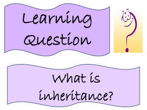 Lesson 3 - Inheritence
