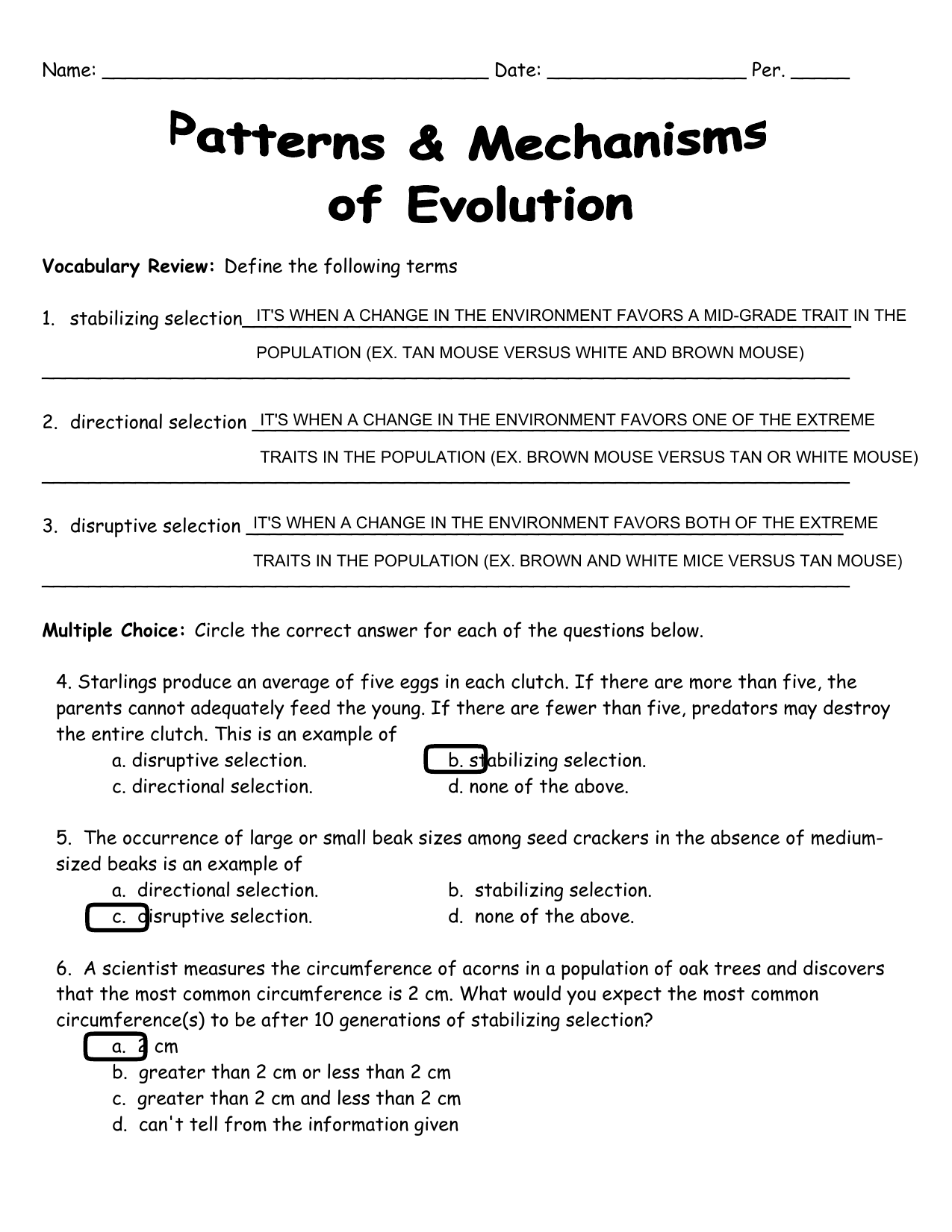 Types Of Natural Selection Worksheet E streetlight
