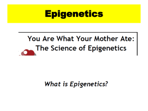 Epigenetics nadz