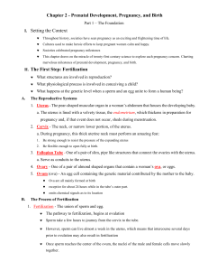 Experiencing the Lifespan - Chapter TWO Notes