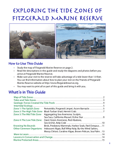 Fitzgerald Marine Reserve Tide Zone Guide