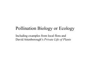 2.Pollination Student